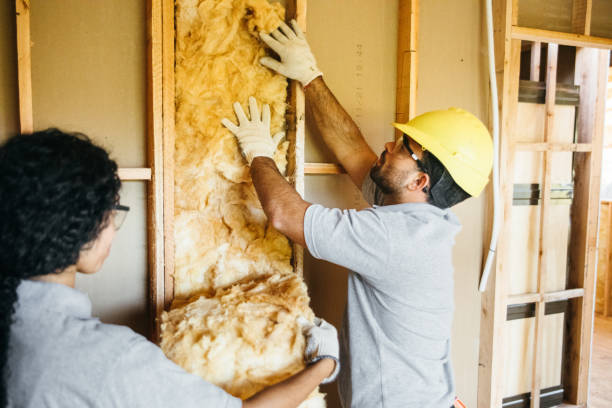 Types of Insulation We Offer in Kure Beach, NC